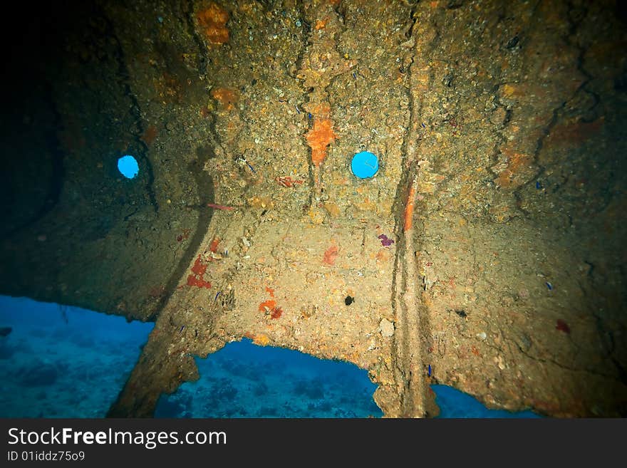 Wreck Dunraven 1876 taken in the red sea.