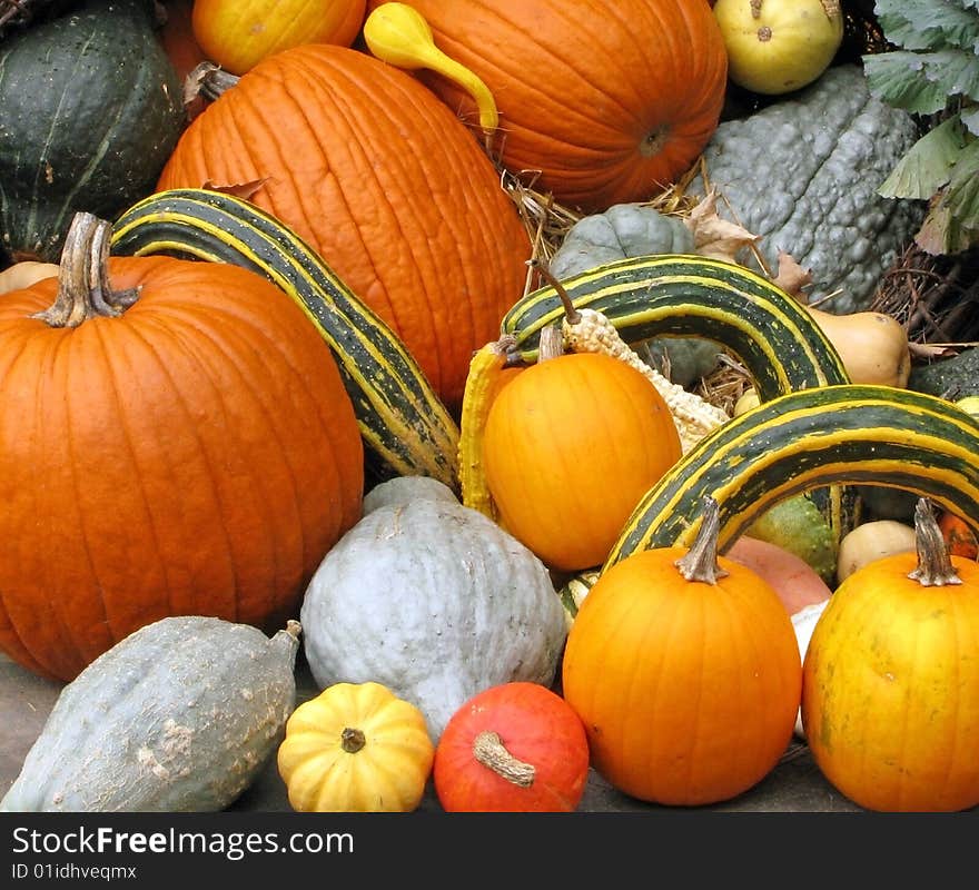 Pumpkins, squash, and gourds piled after harvest