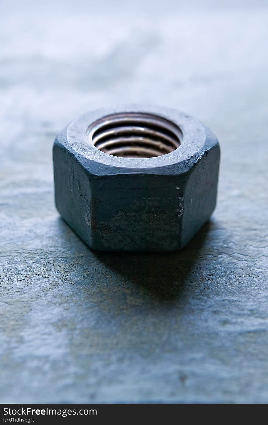 Hex Nut