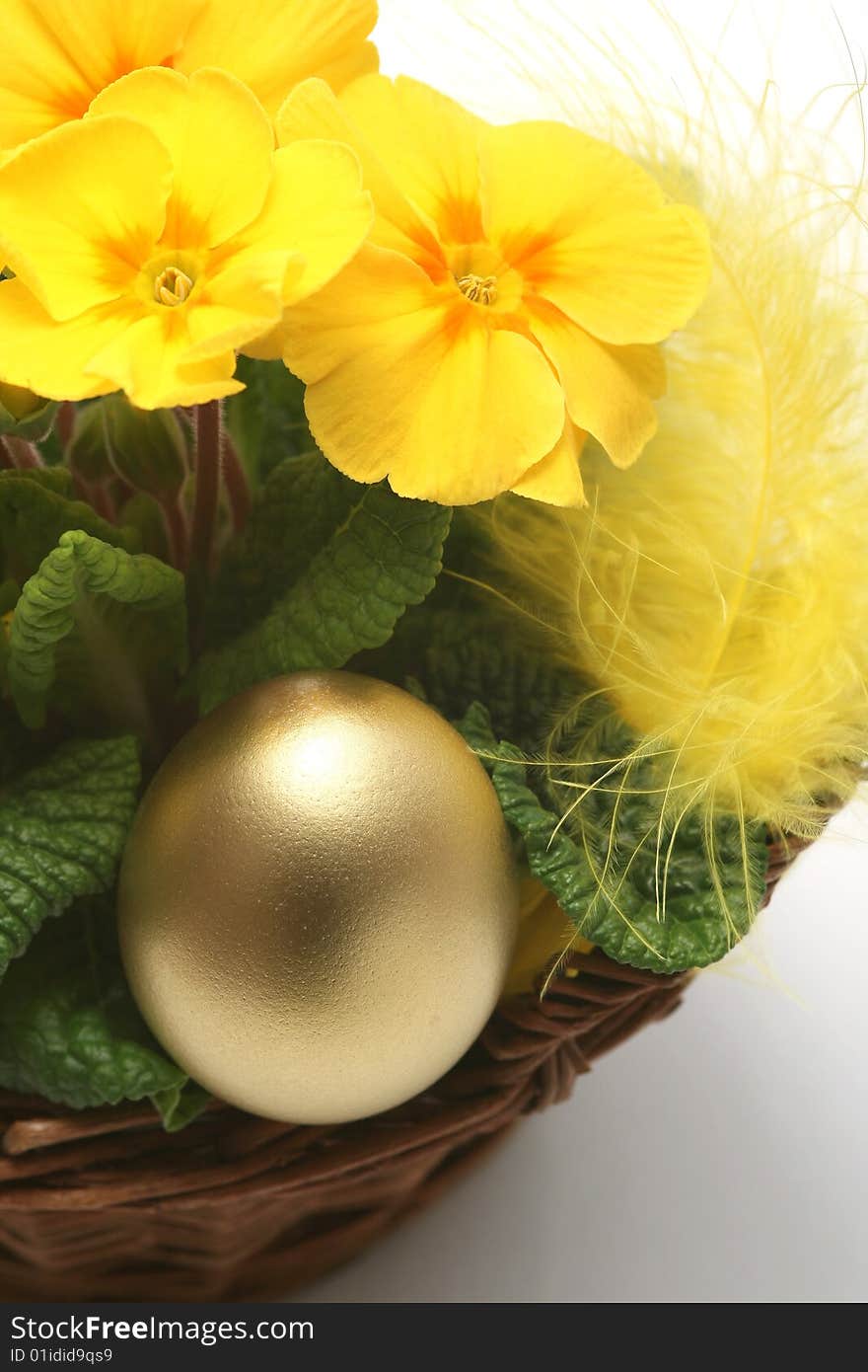 Golden egg with spring yellow flower for easter background.