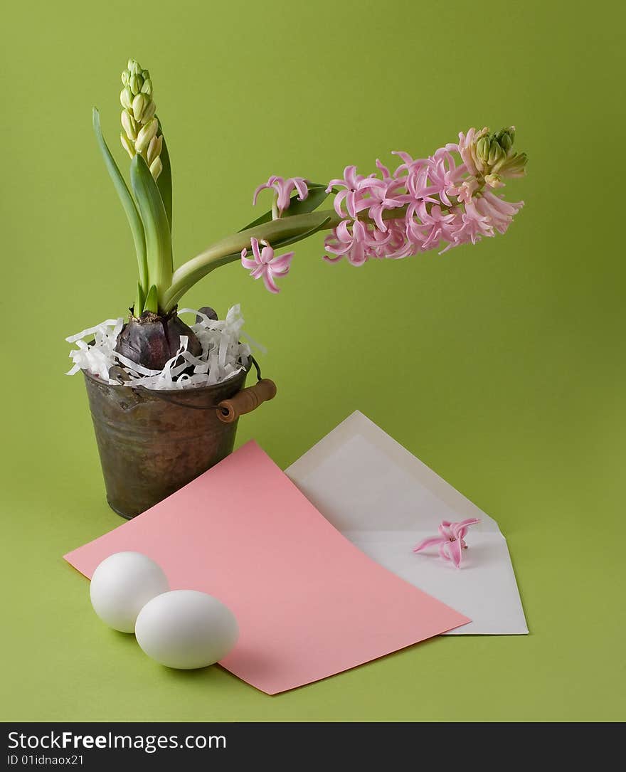 Letter with easter congratulation and bucket with a hyacinth