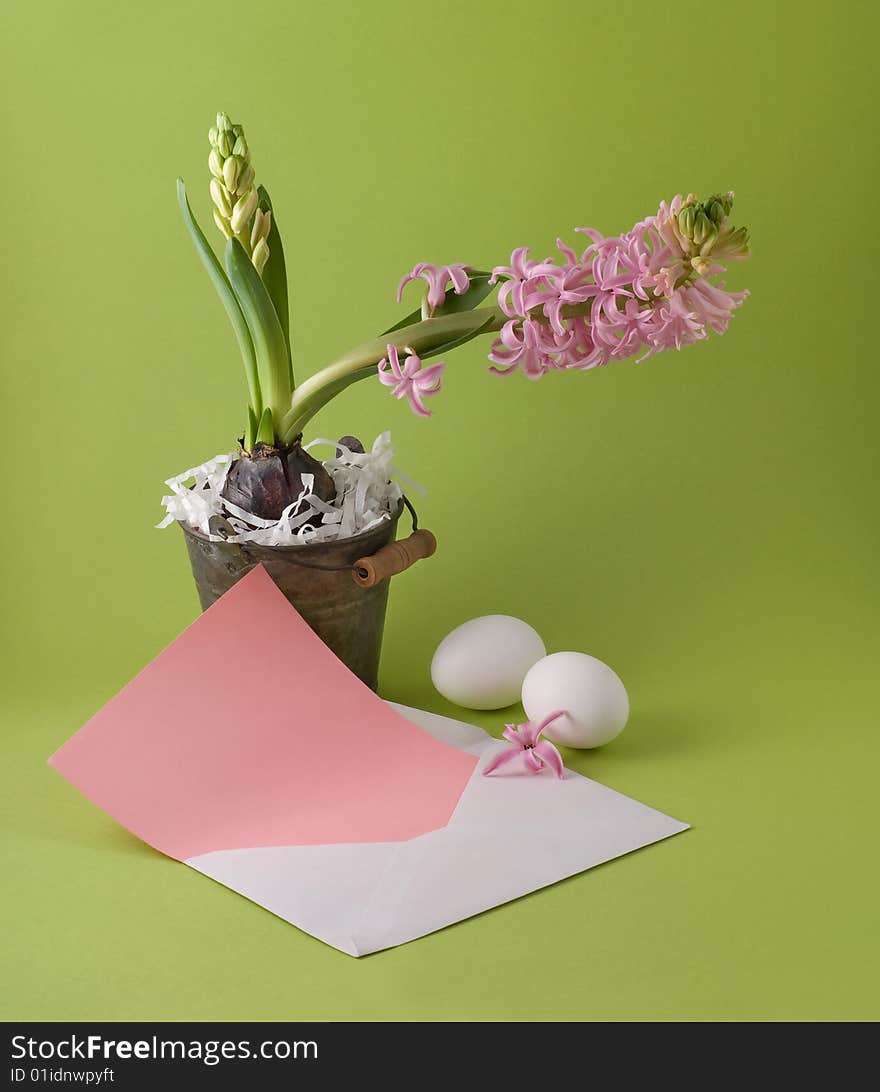 Letter with easter congratulation and bucket with a hyacinth