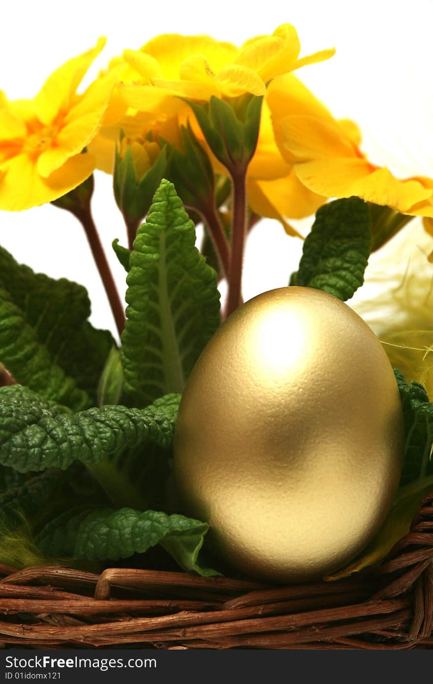 Golden egg with spring yellow flower for easter background.