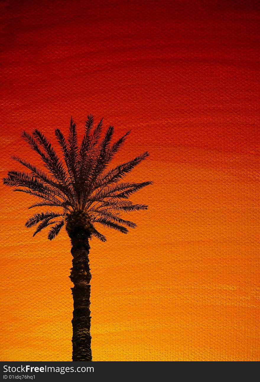 Palmtree sunset background