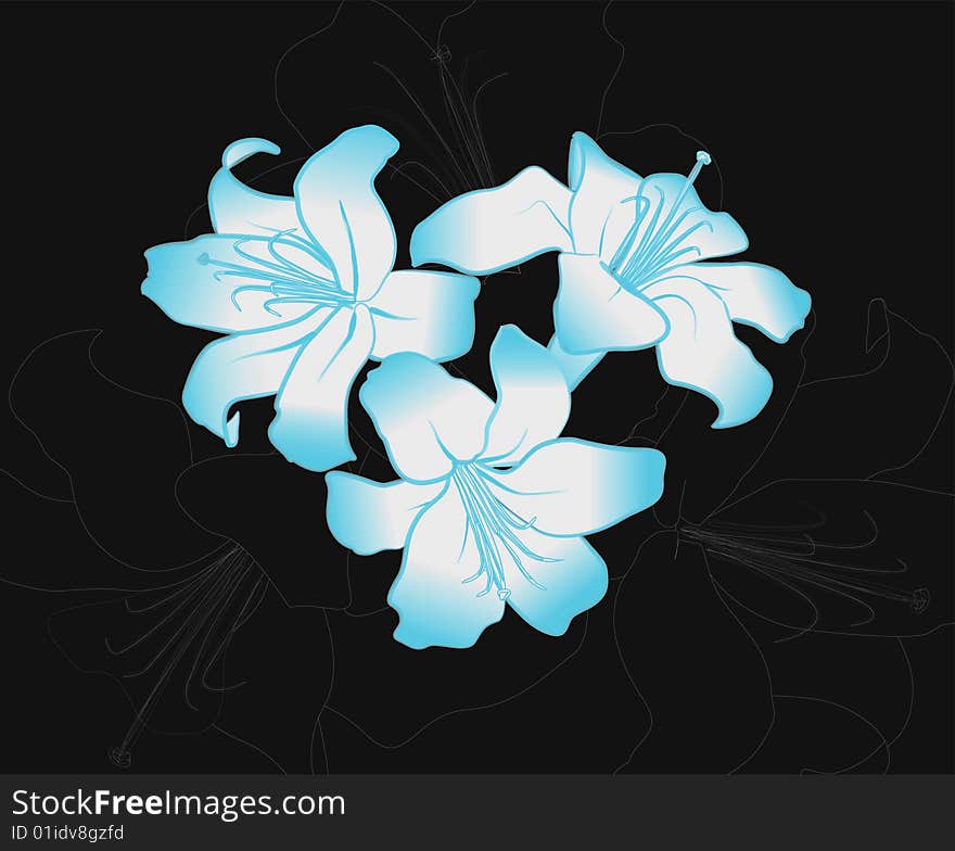 Blue liliums over a gray background