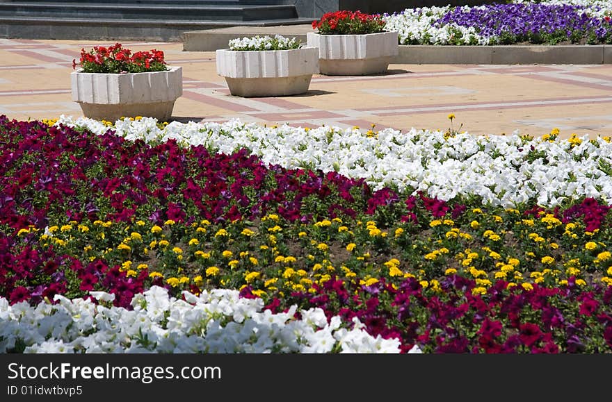 Flower Bed