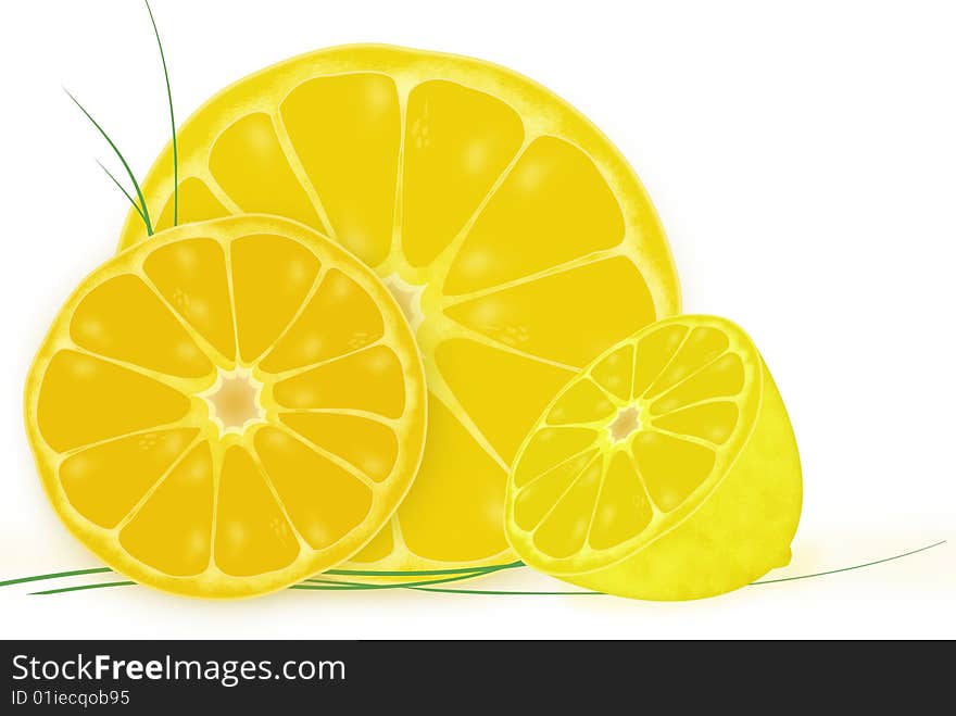 Sunny summer orange fruit illustration on white background. Sunny summer orange fruit illustration on white background.