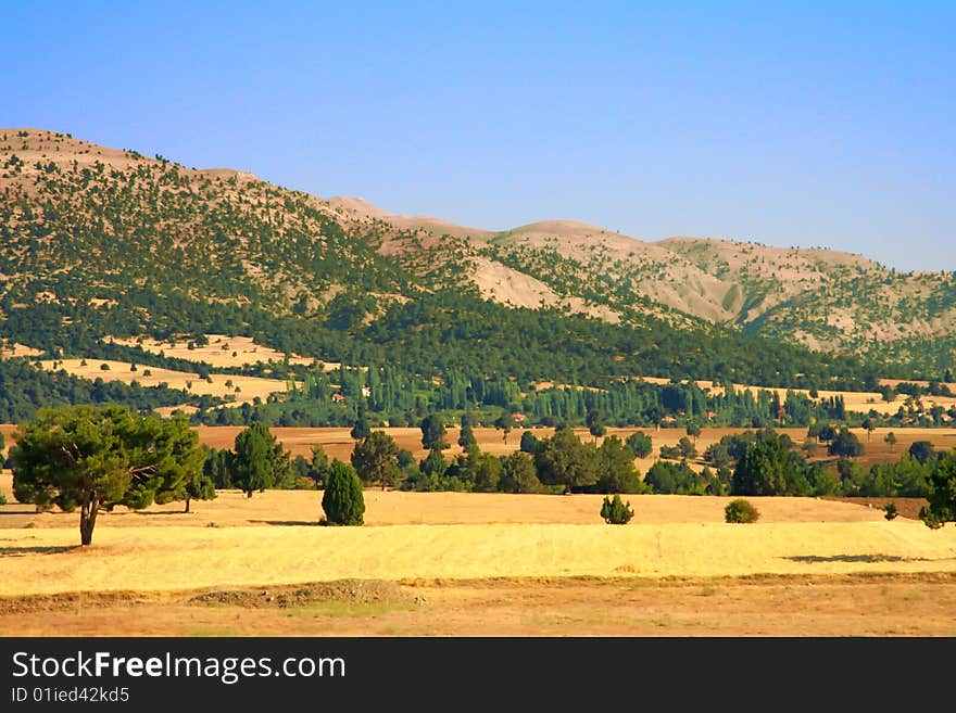 Summer green peaks of Turkey