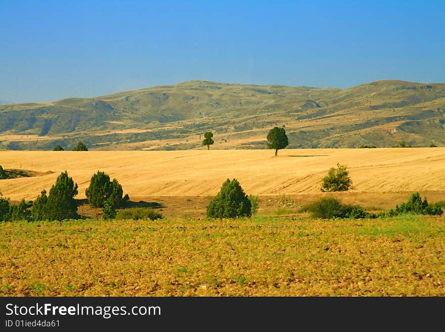 Green Summer peaks of Turkey