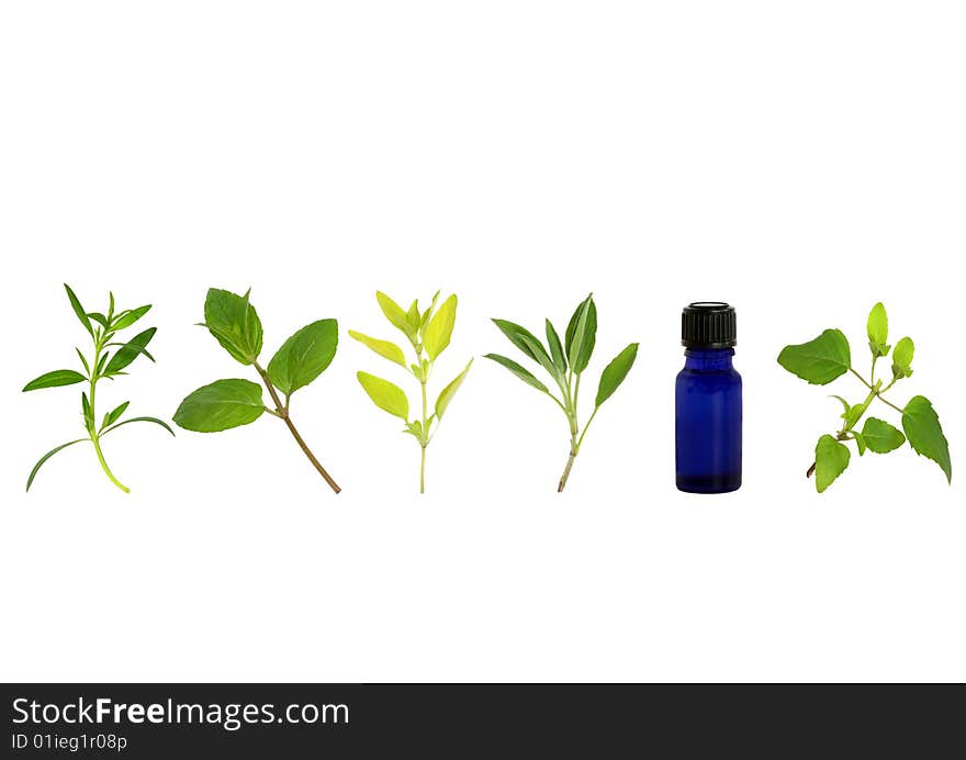 Herb leaf sprigs of hyssop, chocolate mint, golden marjoram, sage, and bergamot and essential oil glass bottle, over white background. Herb leaf sprigs of hyssop, chocolate mint, golden marjoram, sage, and bergamot and essential oil glass bottle, over white background.