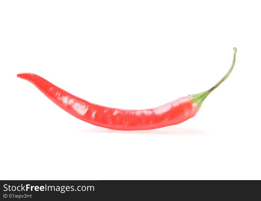 Red   chilly pepper  on white background