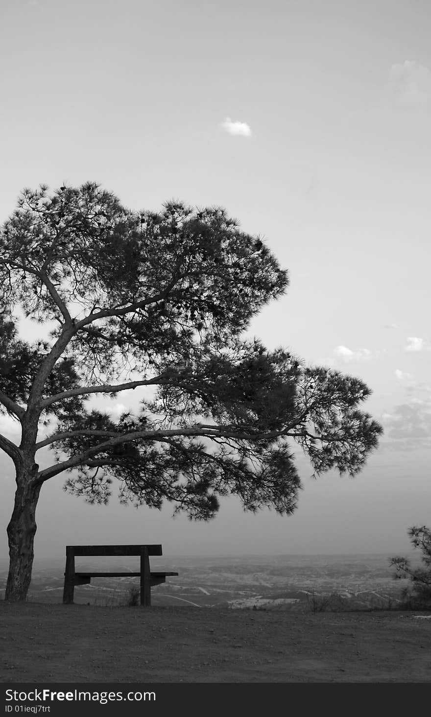 A park bench