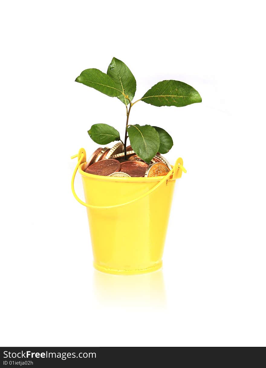 Plant growing from bucket full of coins. Plant growing from bucket full of coins.