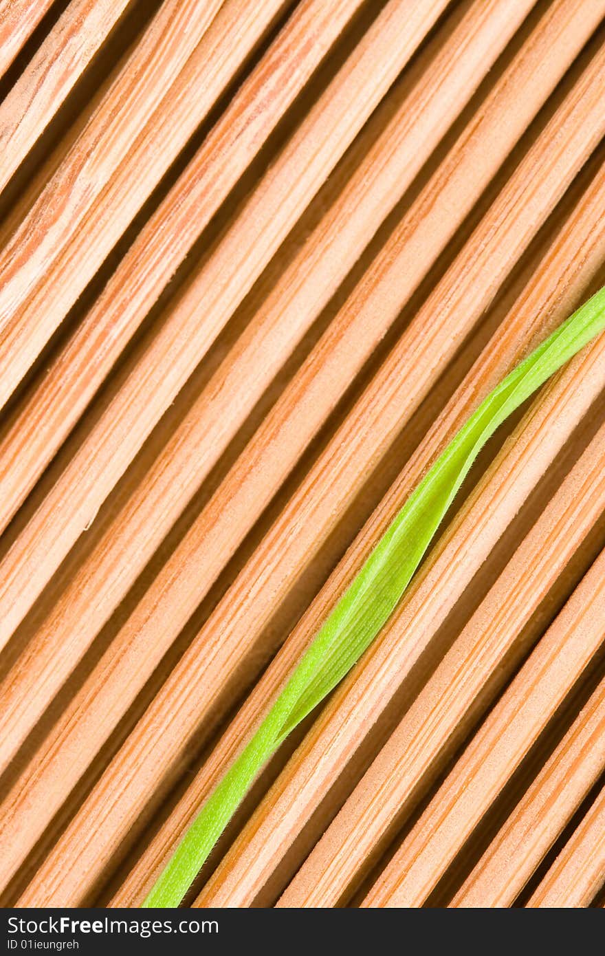 Grass on the wood macro. Grass on the wood macro