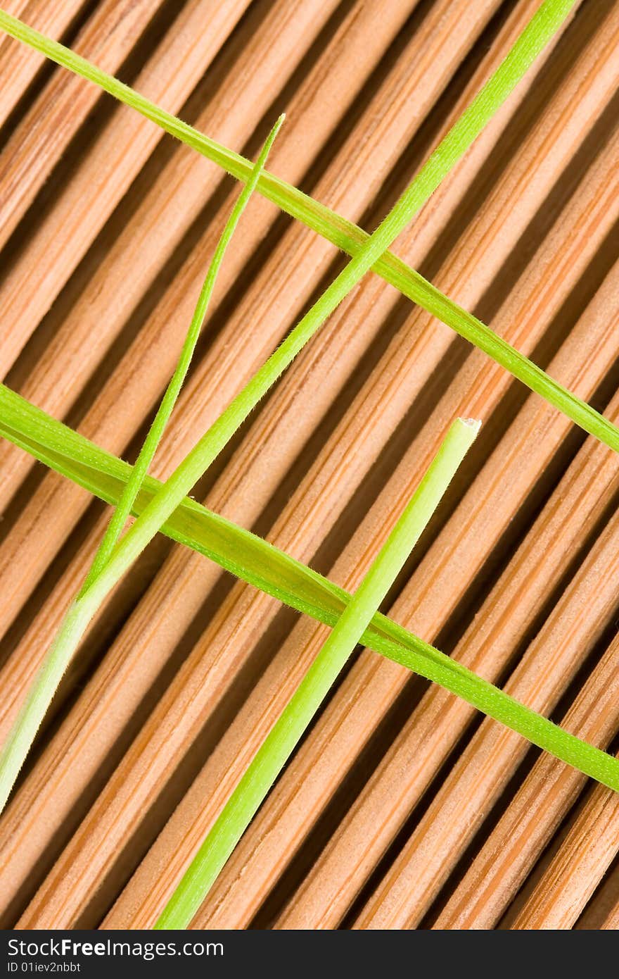 Grass on the wood macro. Grass on the wood macro