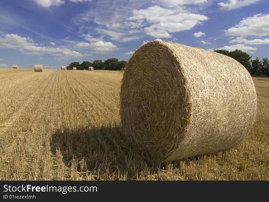 Harvest Straw