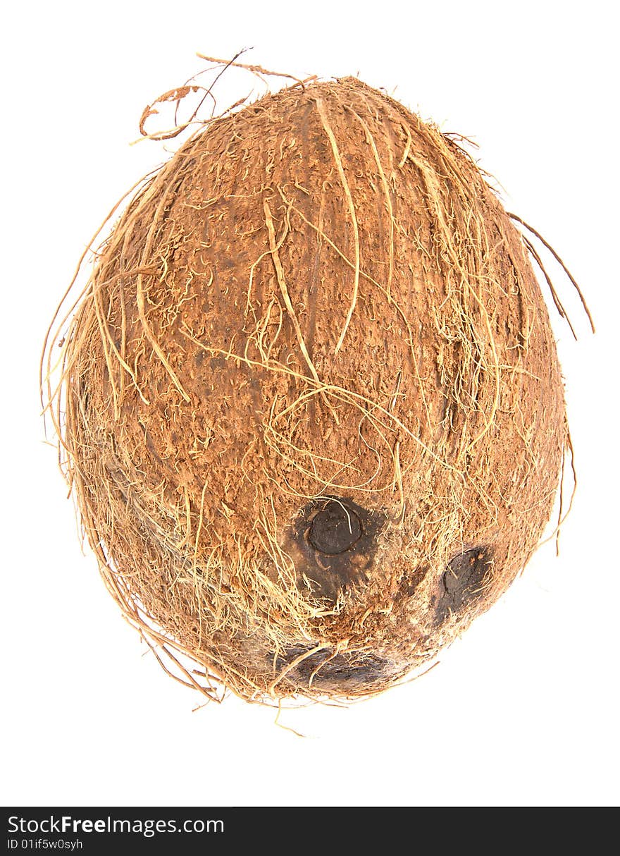 Coconut isolated against a white background