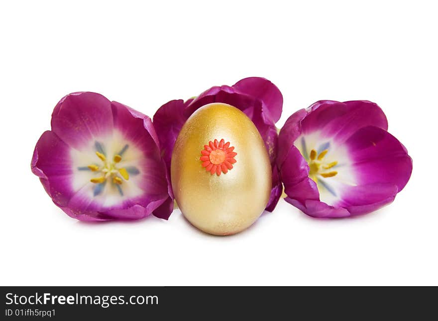 Celebrating Easter with golden treasure egg and spring tulip flowers. Isolated on white with clipping path. Celebrating Easter with golden treasure egg and spring tulip flowers. Isolated on white with clipping path.