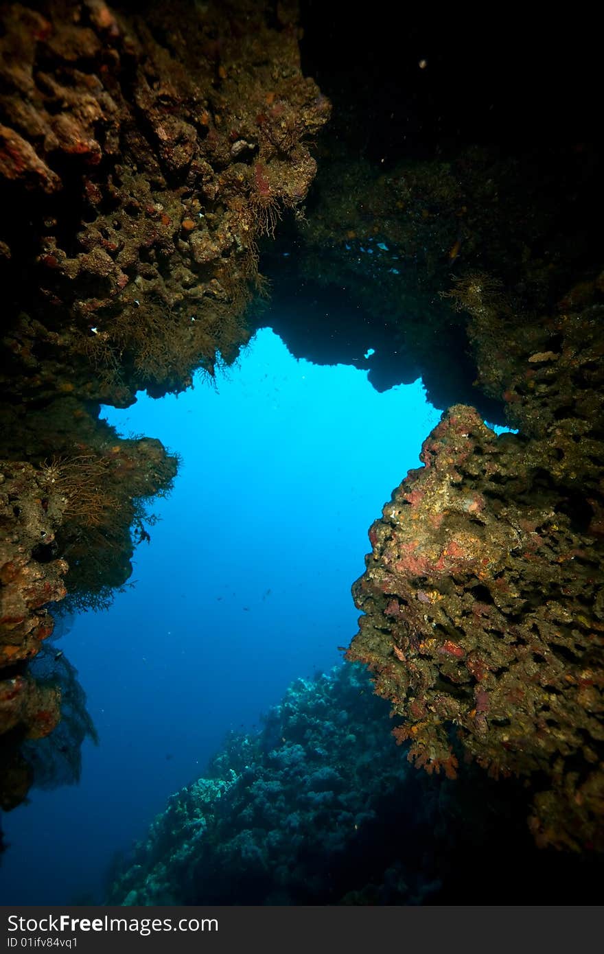 Coral, ocean and fish taken in the red sea.