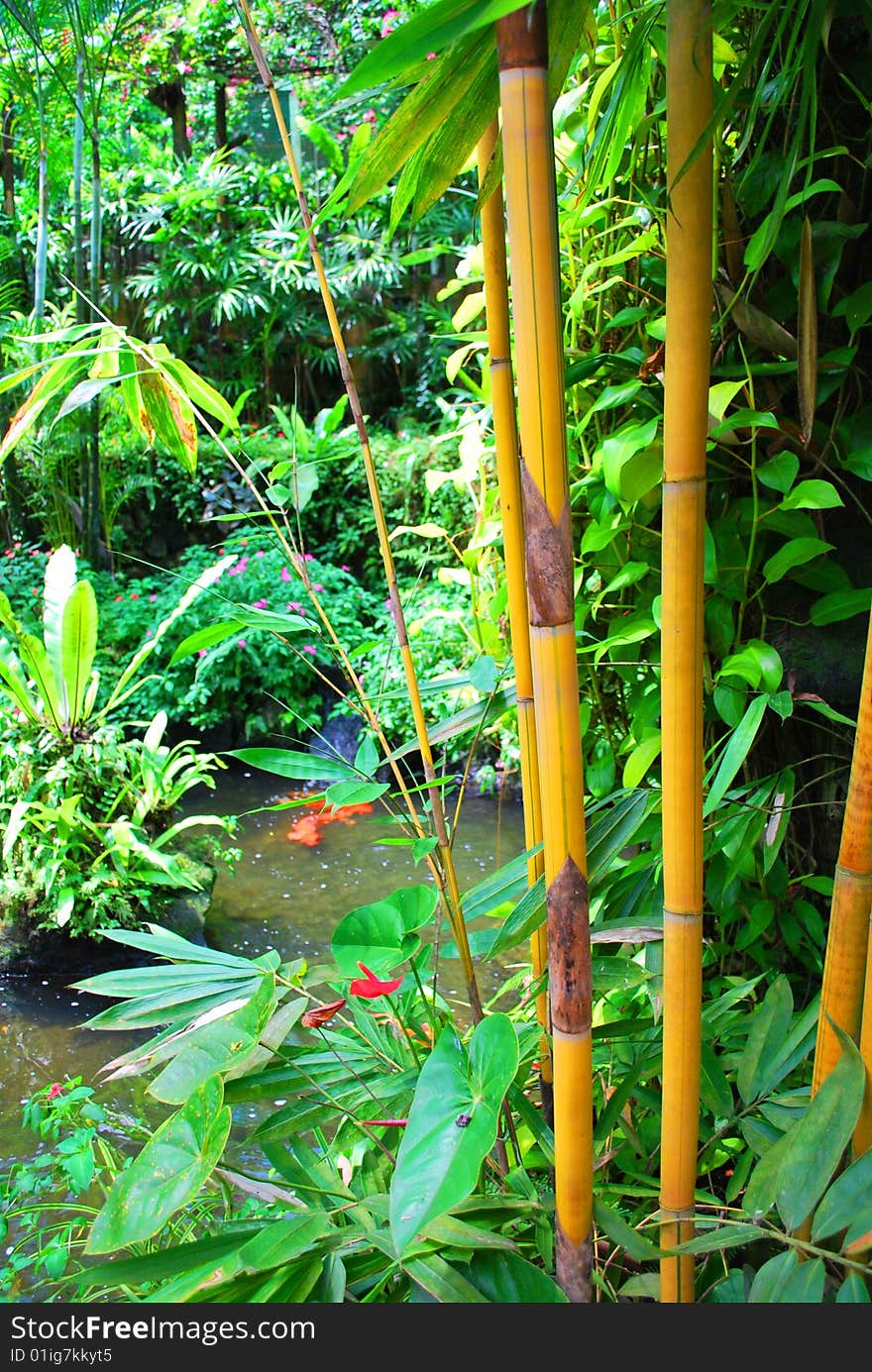 Image of the garden at Taman Rama-rama at malaysia