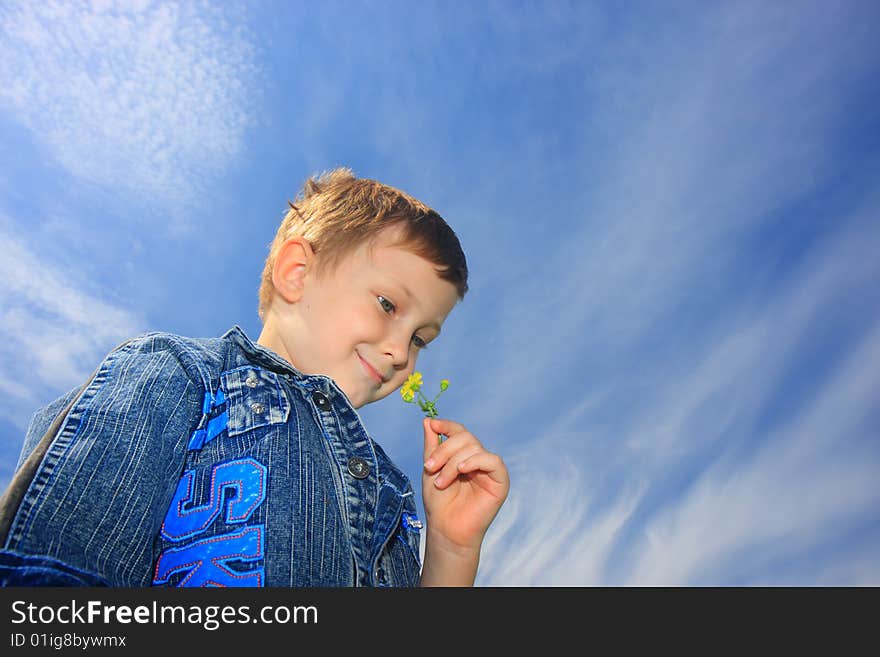 The little boy smells yellow flower. The little boy smells yellow flower