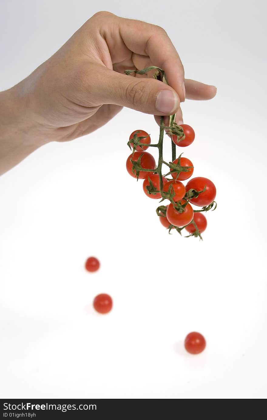 Hand holding a stem  of cherry tomato.