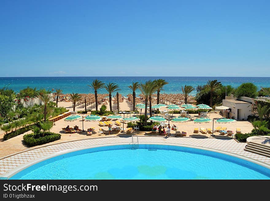 Palm trees, beach, bright sun, yellow sand. Palm trees, beach, bright sun, yellow sand