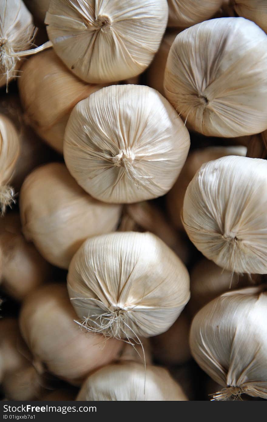 An image of plastic garlic for display purposes. An image of plastic garlic for display purposes