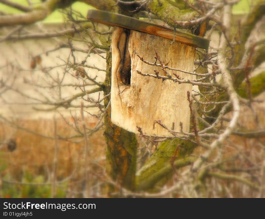 Birds house on the tree. Birds house on the tree