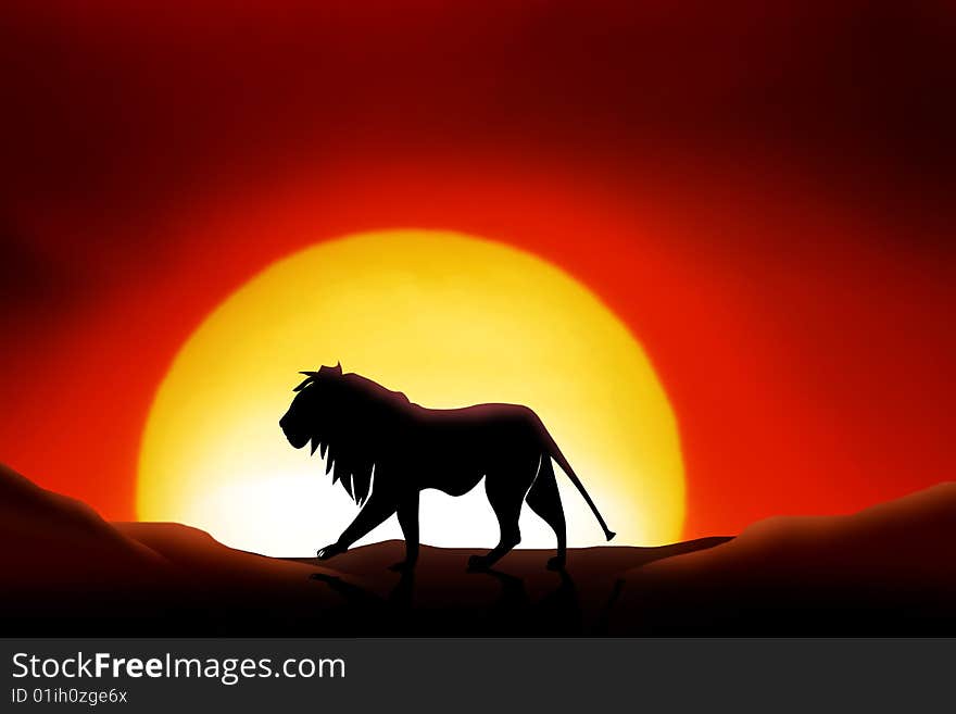 Lonesome lion in a sunset of the sahara desert