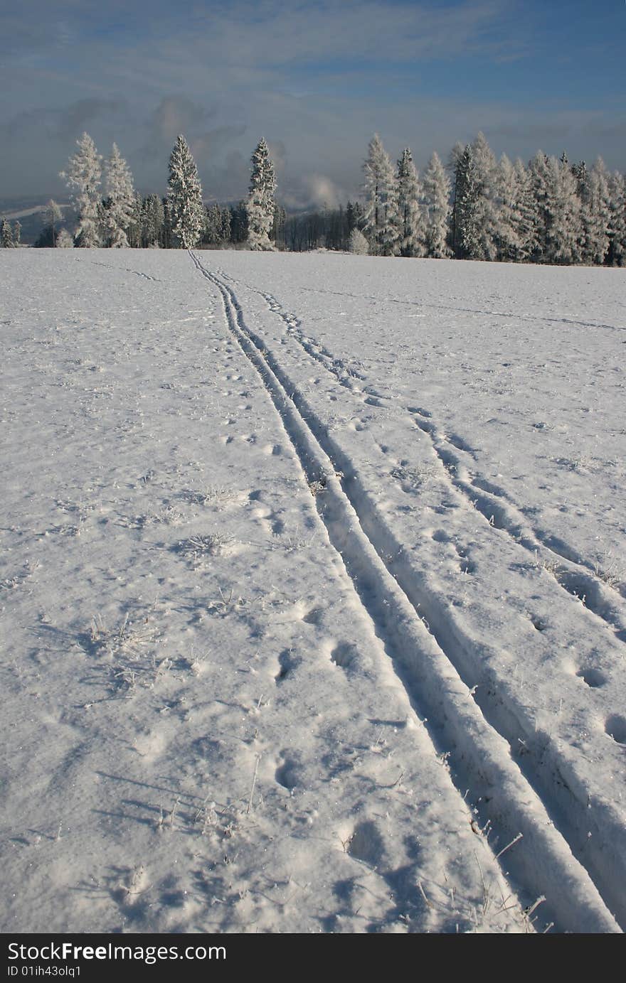 Ski print in winter landscape