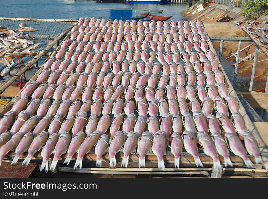 Dried fishes