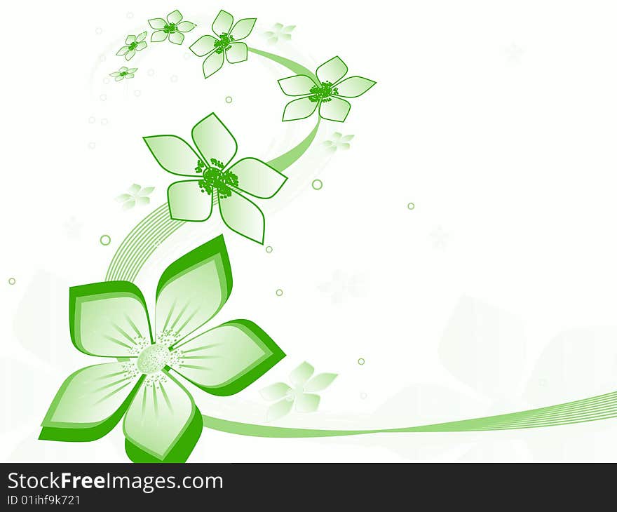 Beautiful flowers on a white background