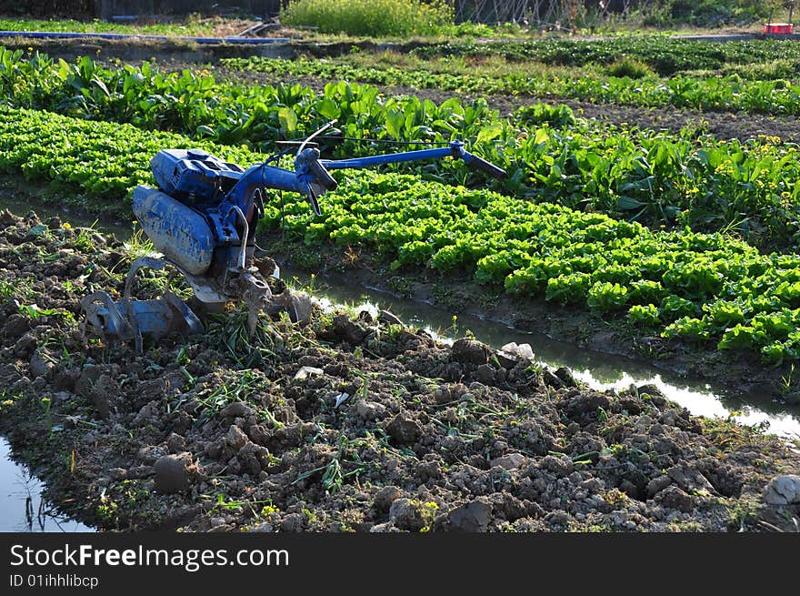 Machine in the farm