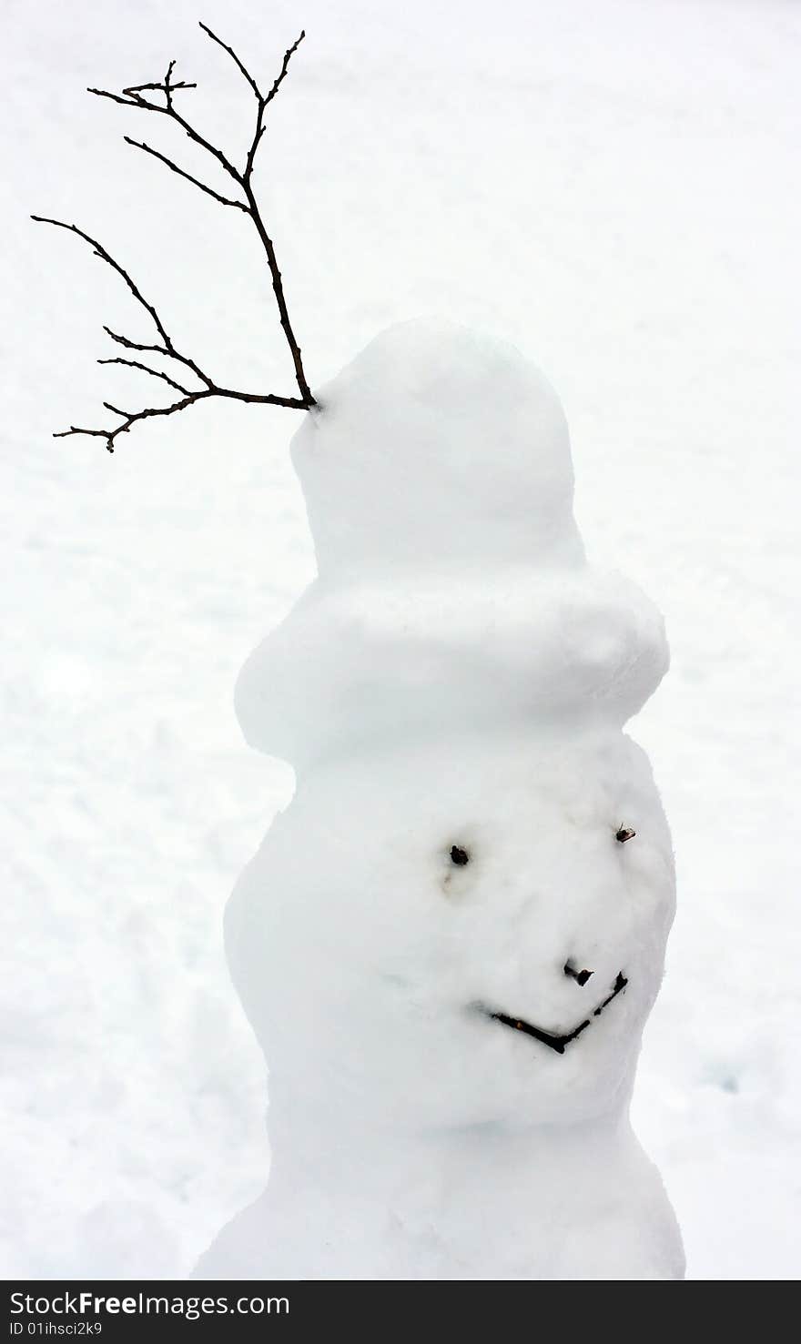 Head of all natural made snowman in winter scene. Head of all natural made snowman in winter scene