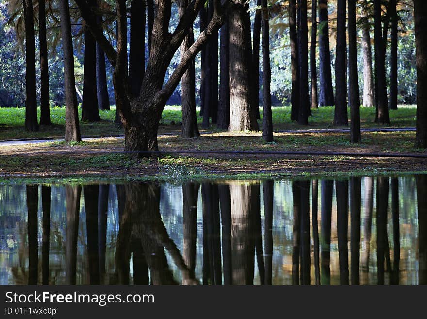 Boreal Europe amorous feelings