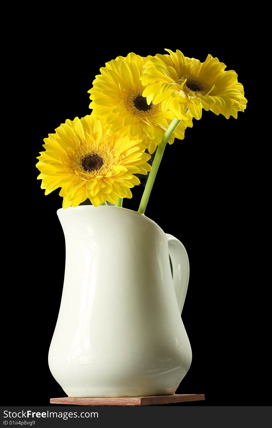 Bright yellow flowers in a white pitcher, isolated on black