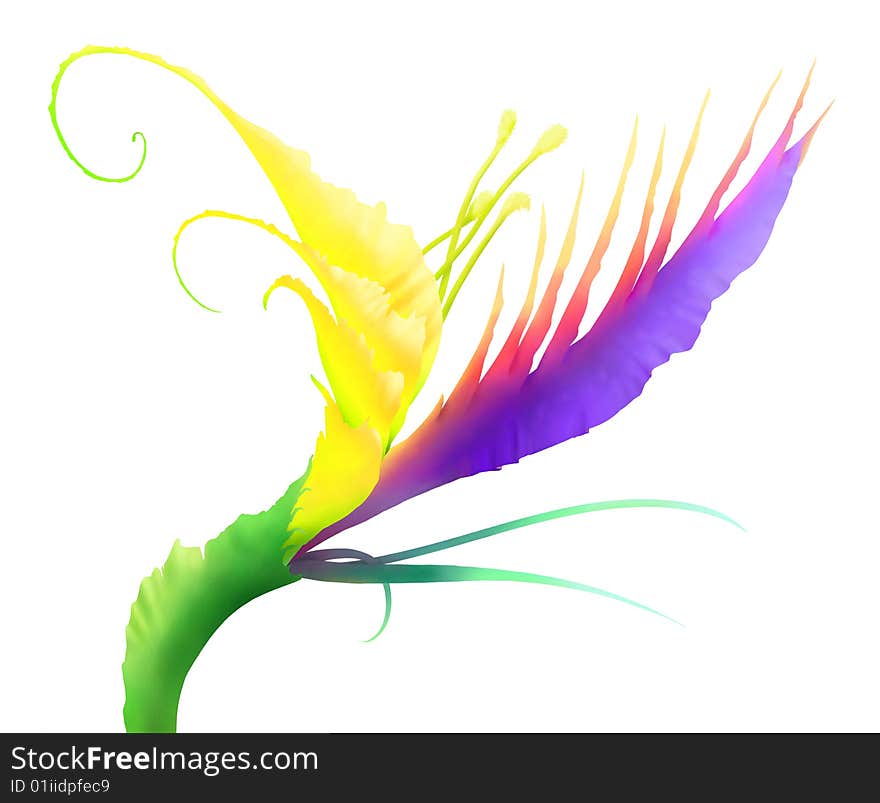 Digital painting - surreal exotic flower isolated on white background. Colorful and artistic. Digital painting - surreal exotic flower isolated on white background. Colorful and artistic.