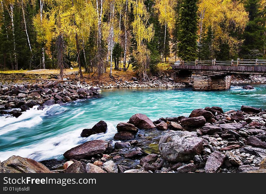 River in forest in autumn. River in forest in autumn.