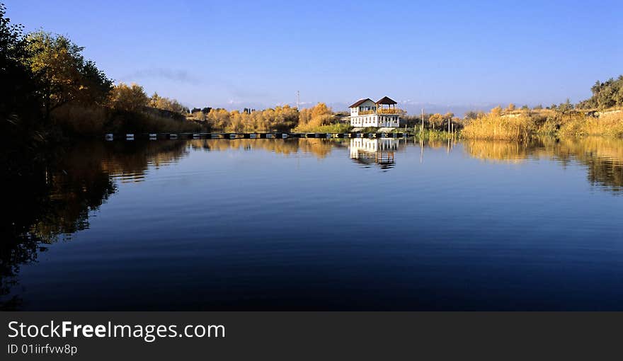 Golden Populus euphratica trees, and white house make the beautiful reflection in blue lake. Golden Populus euphratica trees, and white house make the beautiful reflection in blue lake.