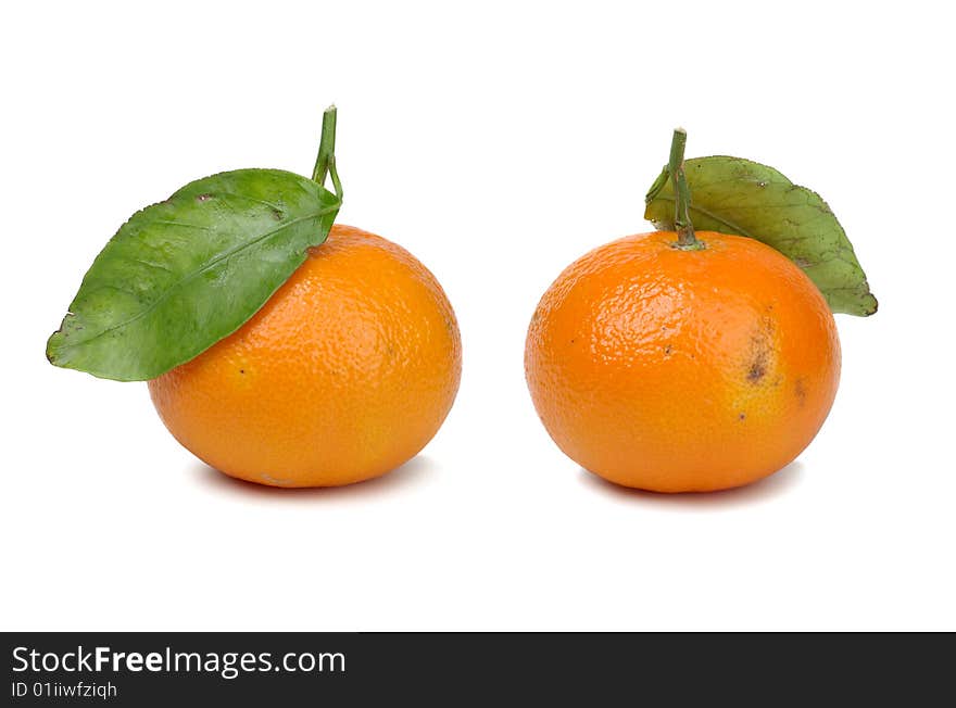 Tangerines