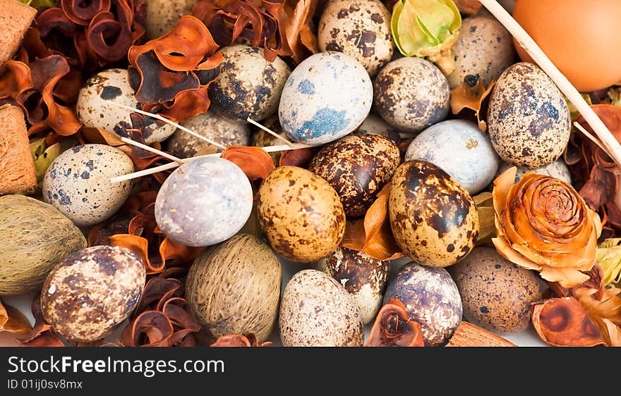 A clutch of quail eggs displayed with brown and white chicken eggs atop a heap of potpourri