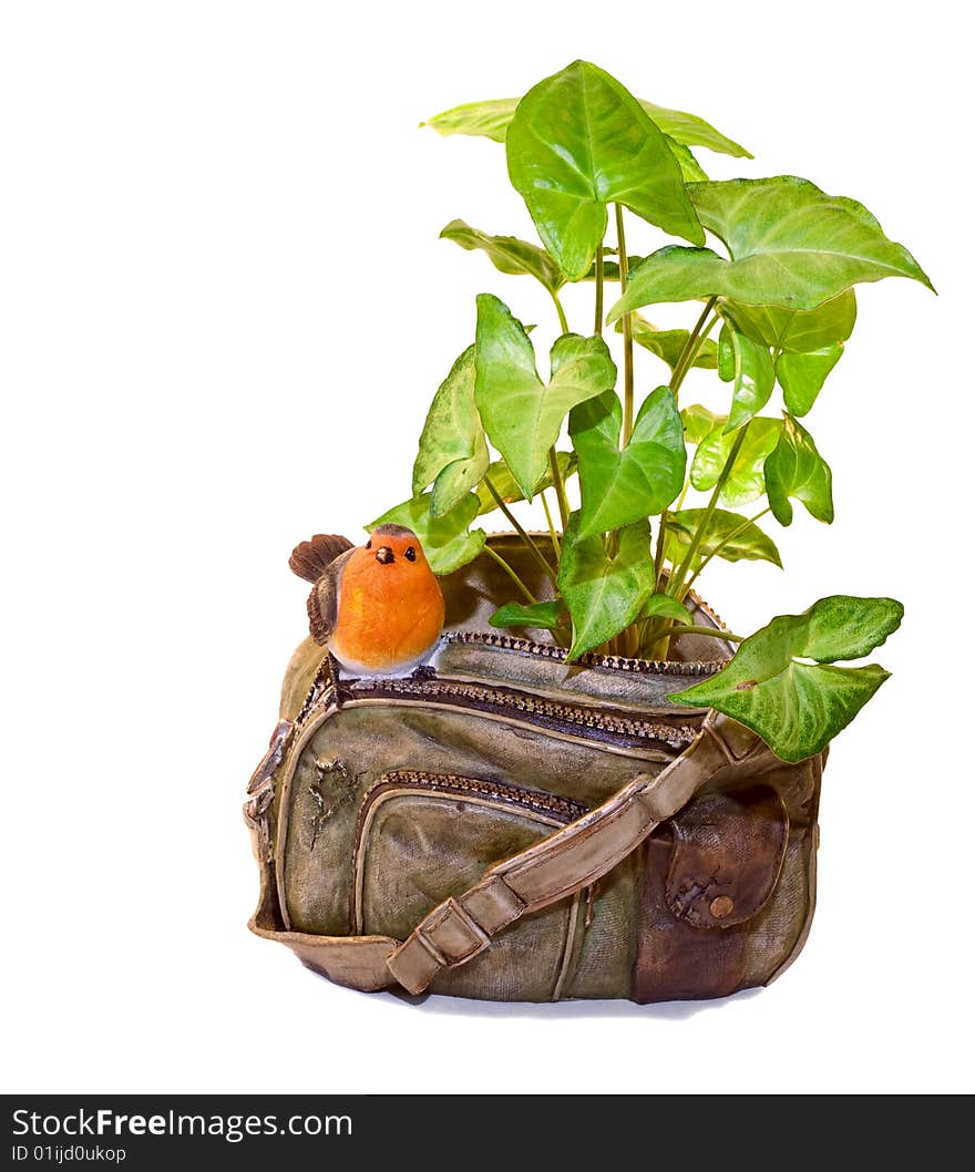 Ornamental flowerpot to flower in the form of an old bag and a green house plants. Ornamental flowerpot to flower in the form of an old bag and a green house plants