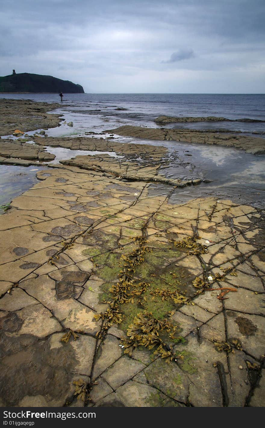 Kimmeridge Bay fisures - Dorset, England