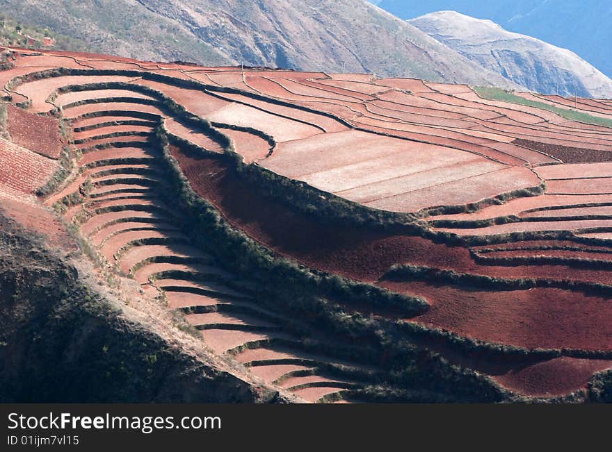 Terrace field in Asia