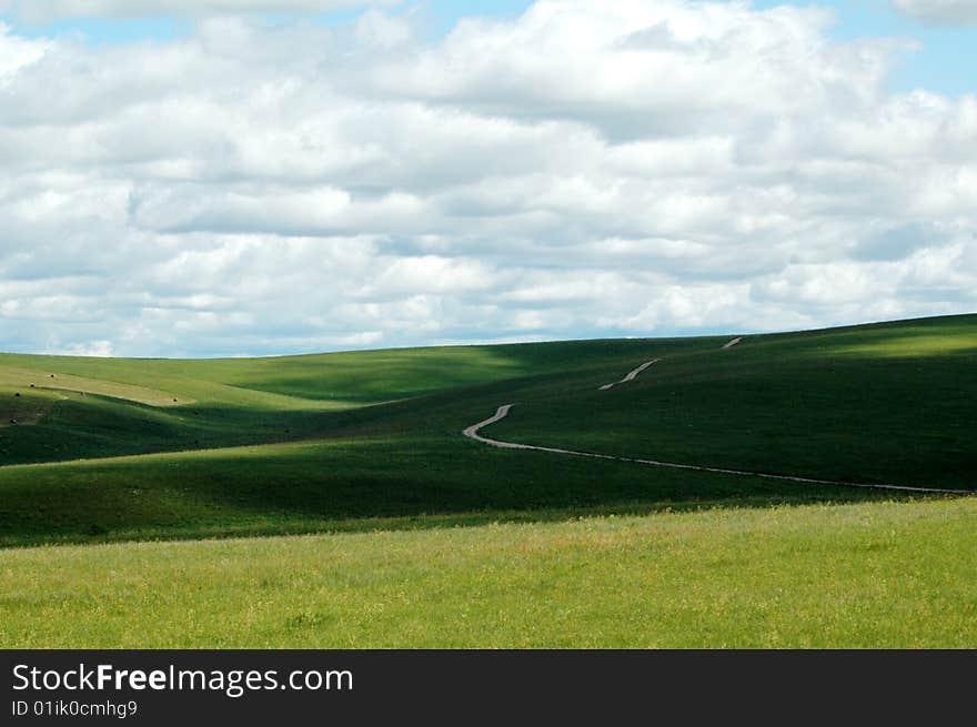 Beautiful vast prairie Baiyun were blossoming