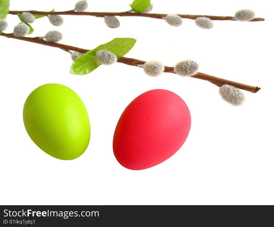 Easter still life,plant and egg