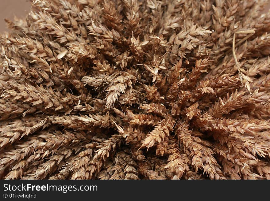 Ears with grains. Background image.