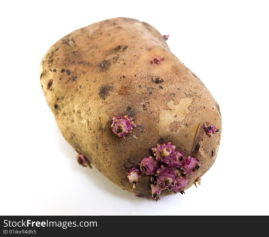 The Potatoes - tasty and useful. With vegetable garden