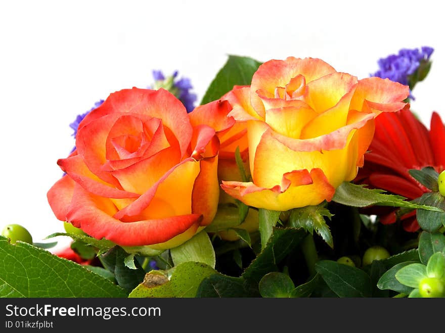 Bouquet  of roses and gerber.